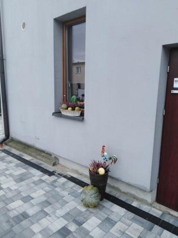 KrzyzanowicePod Kogucikiem公寓式酒店 外观 照片
