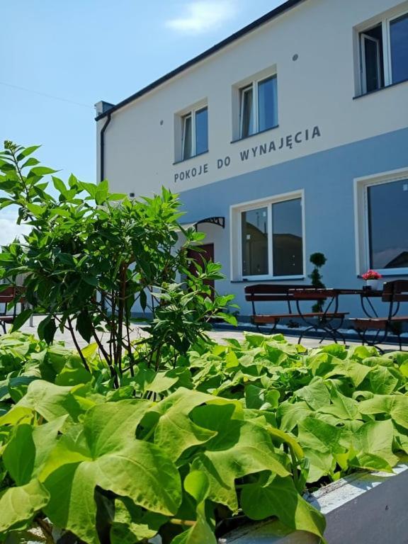 KrzyzanowicePod Kogucikiem公寓式酒店 外观 照片