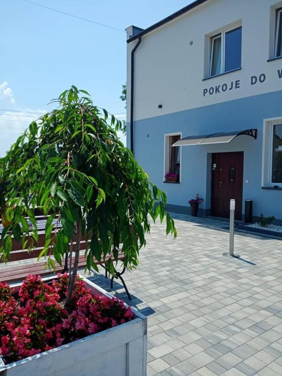 KrzyzanowicePod Kogucikiem公寓式酒店 外观 照片
